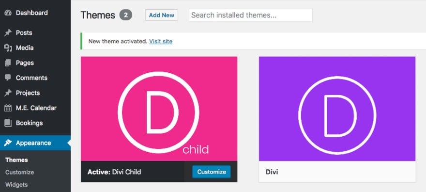 Type of divi child themes
